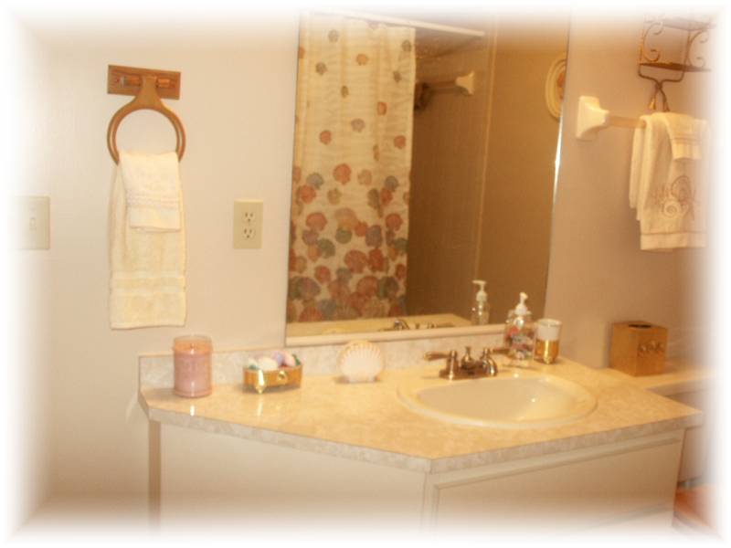 Main bath with door to pool/lanai