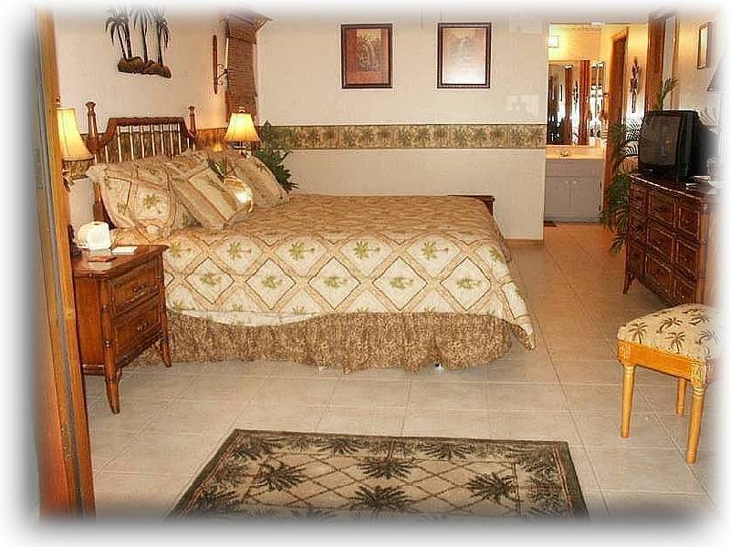 mastersuite3360e.jpg